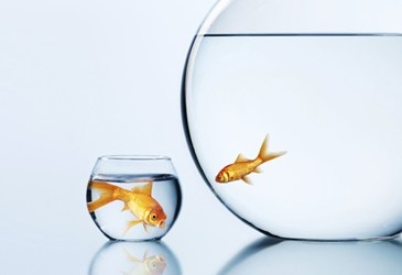 Greater Things and Small